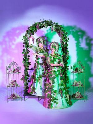 druivige dames